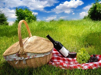 Picnic - Kharkov city sights